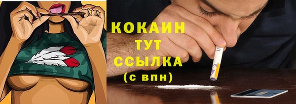прущие грибы Балабаново