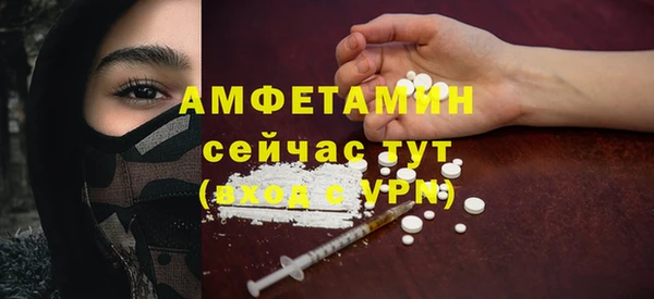 прущие грибы Балабаново
