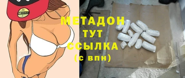 прущие грибы Балабаново