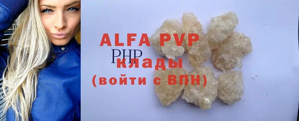 прущие грибы Балабаново