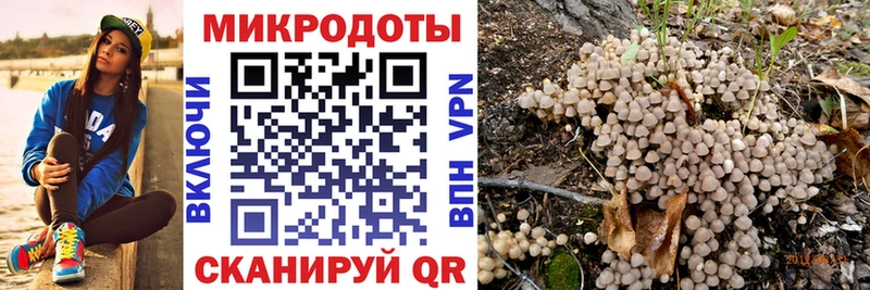 Галлюциногенные грибы Psilocybine cubensis  Грайворон 