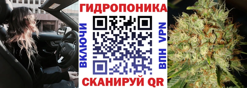 дарк нет состав  Грайворон  Каннабис AK-47  купить наркотики цена 
